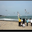 문무바람 이미지