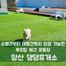 휴개소 | 소형견부터 대형견까지 입장 가능한 양산 애견 카페 ｜ 댕댕휴개소