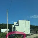 제주도 애월 대형견 독채 애견 펜션 &#39;귀덕귀덕&#39; 다녀왔어요 🐶 잔디 마당 50평 내돈내산 후기