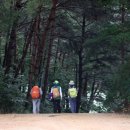 지수네밥상 이미지