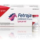 (주)대학약품 이미지