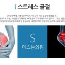 에스본의원 이미지