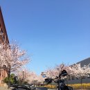 피에스바이크
