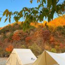 깊은골캠핑장 이미지