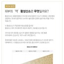 오투성형외과의원 | 서울리거피부과 l O2toDerm(오투덤) 생애 첫 피부과 보습관리, 강력 추천👍🏻