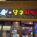 달구치킨 | 울산 달구치킨 성남동 로컬 치킨 맛집