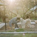 브로콜리약국 이미지