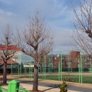 서산고등학교 이미지