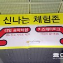 신나는컨텐츠교육 이미지