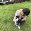 아루보리 이미지