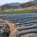 아주1차 이미지