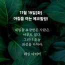 11월 19일(화)아침을 여는 건강한 에코힐링(글 전체보기는 글주소 클릭!) 이미지