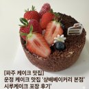 먹성집대전 | [파주 케이크 맛집] 운정 케이크 맛집 '샹배베이커리 본점' 시루케이크 포장 후기