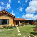 목수와 시인 이미지