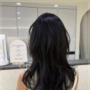 빈센트 헤어 이미지