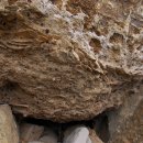 제주 서귀포층 패류화석 산지 이미지