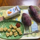 무실택지2 능라동길 | 원주 무실동 핏앤피트니스 PT6회차 후기