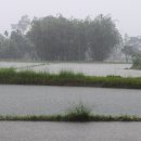 신한은행(부전동지점) | 부산보청기 금강보청기 부산서면센터 보청기 추천