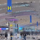 남이치안센타 | 상하이만 네 번 다녀온 사람의 여유로운 여행