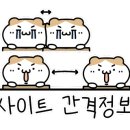 하슬라 캠핑장 이미지