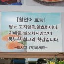 양지회센터 이미지