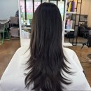 (주)코이 | 대전 월평동 미용실 커트 잘하는곳 메종드코이 레이어드컷 후기