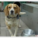 벽봉마을 이미지