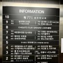 새빛네일 네이버블로그