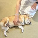 하루 | 후쿠오카 하루하루투어 후기 유후인 벳푸 다자이후 일일 버스투어 추천