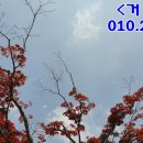 화서 사거리2 이미지