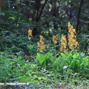 한라수산 이미지