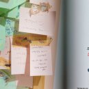 견생냥품 무인24시 여주홍문동점 | (여주) 견생냥품 방문