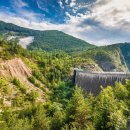 바이온트 이미지