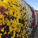 새서울한의원 이미지