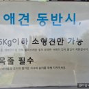 고굽마 네이버블로그