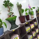 대길손세차장 이미지