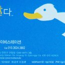 오리 날다 이미지