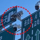 “카메라 앞에서만 서행하셨죠?” 얌체 운전자들 대거 적발된 소름 돋는 내막 이미지
