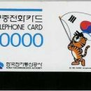 호돌이네 이미지