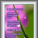 사랑의 소나기 이미지