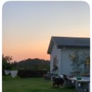 스테이오즈 | [제주도/숙소] 청수리 오즈네 164 🌿| 제주 서쪽 2인 에어비앤비 | 조용한 2인 숙소 | 머무르는 내내...