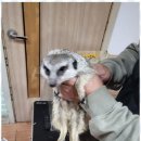 광주곤지암그린인력
