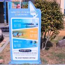 당항포 요트앤스쿨 네이버블로그