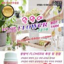 해조플라워 이미지