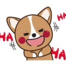 강남-034 이미지