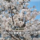 금강수변공원1 | 세종 벚꽃 개화시기 대전 근교 명소 실시간 개화현황