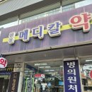 신성약국 네이버블로그