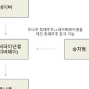 벨류나무