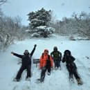 설국 | 2026 겨울 설국, 발왕산 다녀온 산행후기