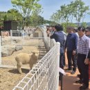 농업테마파크 이미지